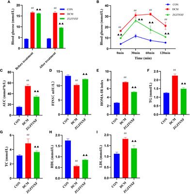 Zuogui Jiangtang Shuxin formula Ameliorates diabetic cardiomyopathy mice via modulating gut-heart axis